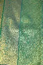 DSC_0542.webp