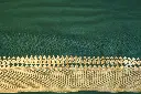 DSC_0848.webp
