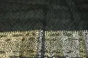 DSC_1235.webp
