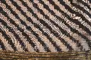 DSC_1344.webp