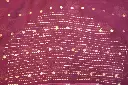 DSC_1483.webp