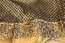 DSC_1700.webp