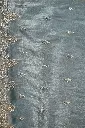 DSC_6559.webp