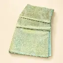 Seafoam Green Gold Banarasi Style Saree with Feather Zari Weave