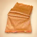Orange Gold Banarasi Style Saree with Floral Zari Weave Festive Wedding Party Wear Women Ethnic Look 