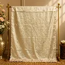 Sage Green Woven Dupatta with Pink Peacock Motifs and Embroidered Border