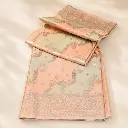 Peach Beige Banarasi Style Saree with Silver Zari Floral Weave